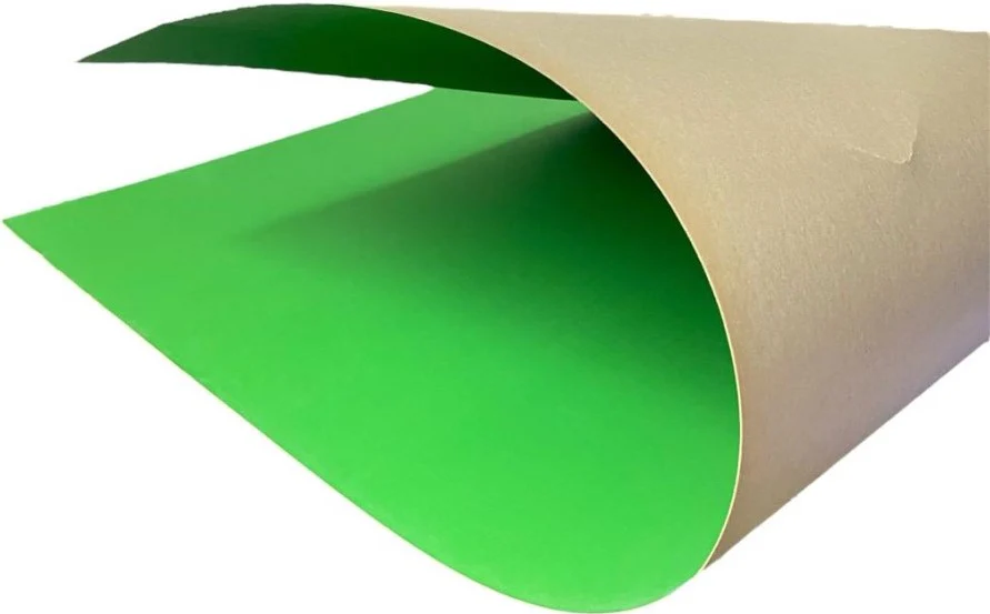 Cartulina América  24Pts Proesa® [Hoja] - Image 15