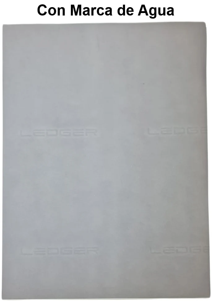 Ledger Scribe® [Hoja] - Image 13