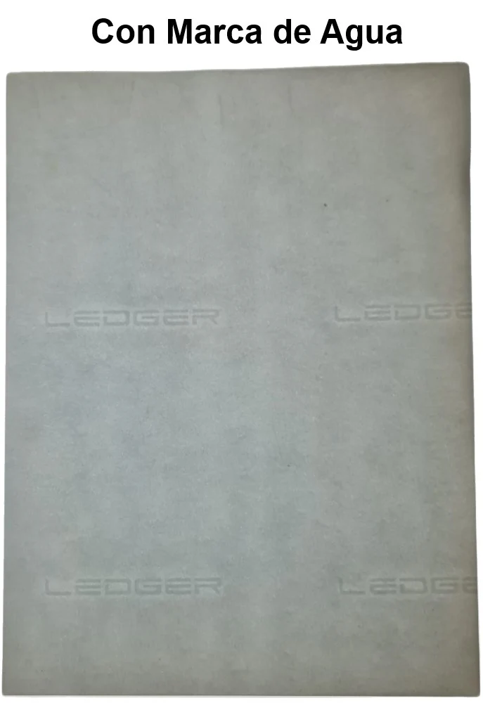 Ledger Scribe® [Hoja] - Image 14