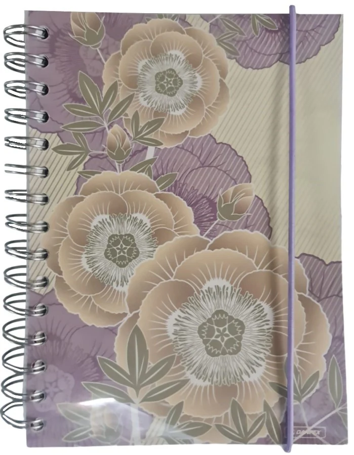 Libreta Pasta Dura Decorada c/Espiral/Cubier 106 hojas Raya Danpex® 1557 [Pieza]