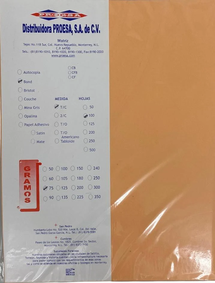 Papel Bond Color Iris c/100 Colores (5) Carta 75g Proesa® [Cien hojas] - Image 2