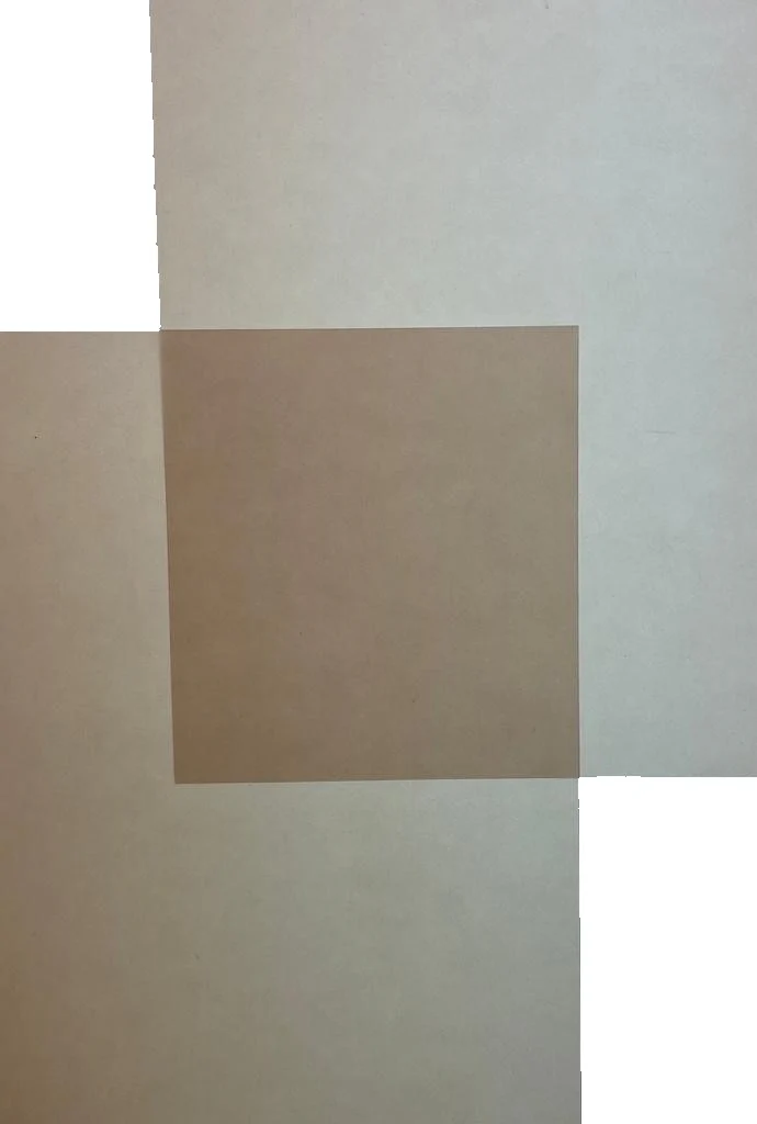 Papel Curious Translucent Cartulina Trasluz  70×100cm Arjowiggins® [Hoja] - Image 15