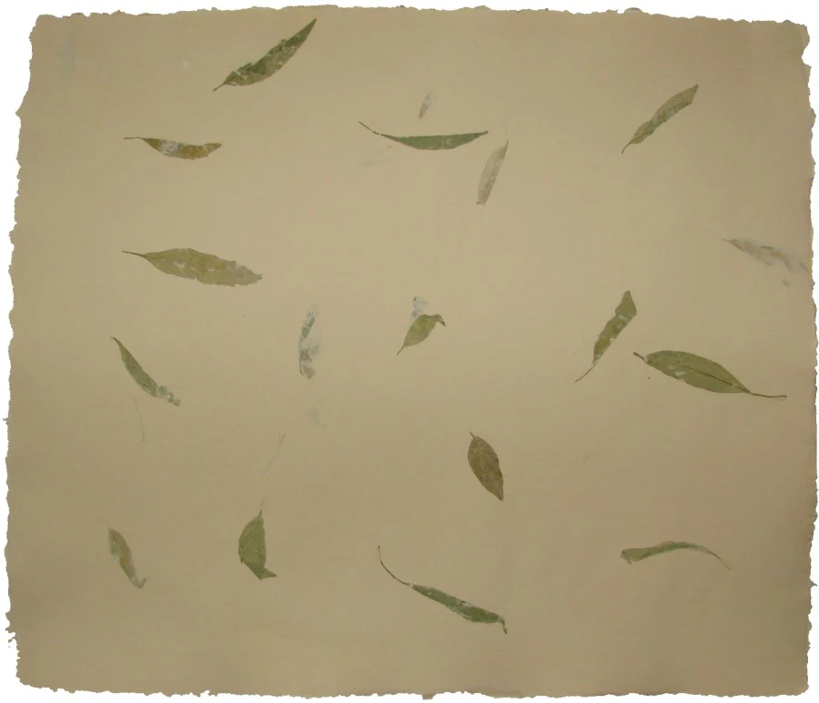 Papel Hecho Mano Nattura®/La Ceiba® [Hoja]