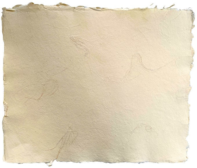 Papel Hecho Mano Nattura®/La Ceiba® [Hoja] - Image 11