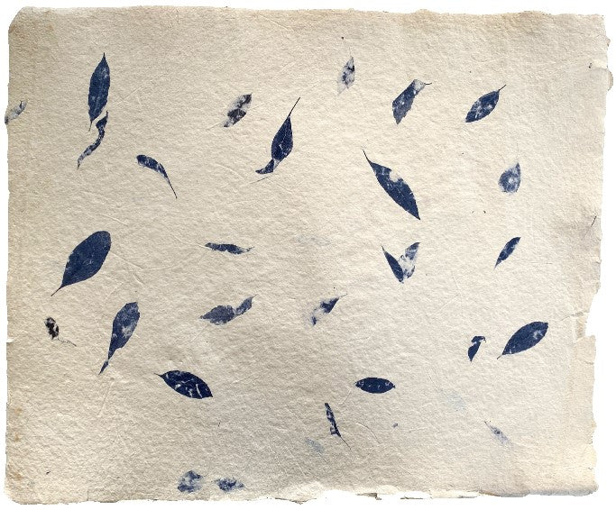 Papel Hecho Mano Nattura®/La Ceiba® [Hoja] - Image 12