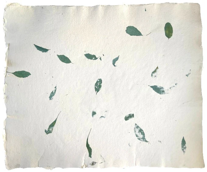 Papel Hecho Mano Nattura®/La Ceiba® [Hoja] - Image 14