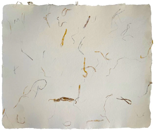 Papel Hecho Mano Nattura®/La Ceiba® [Hoja] - Image 16