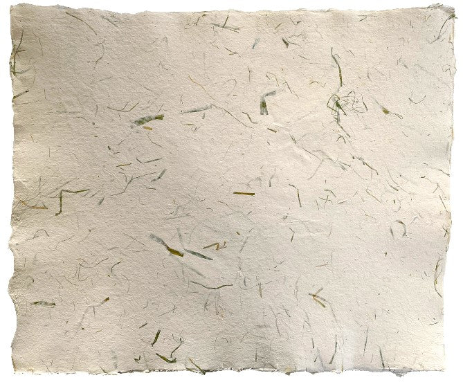 Papel Hecho Mano Nattura®/La Ceiba® [Hoja] - Image 17