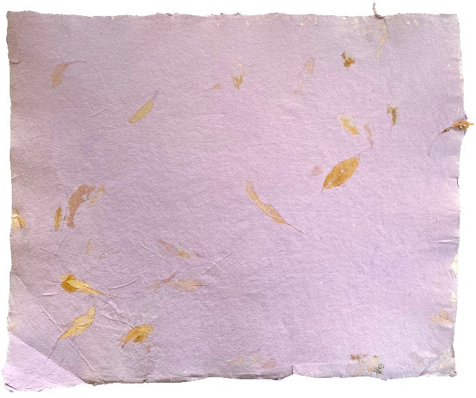 Papel Hecho Mano Nattura®/La Ceiba® [Hoja] - Image 18