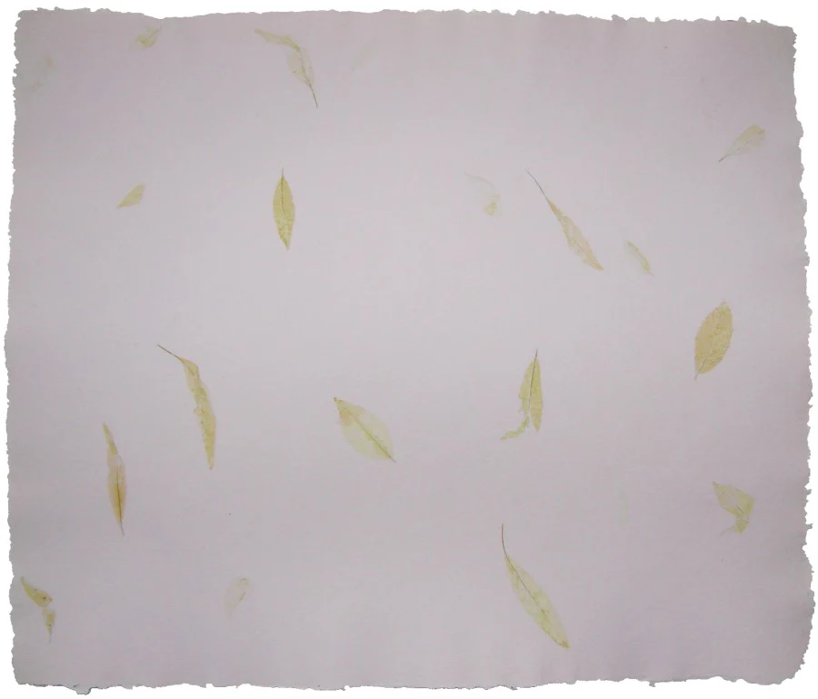 Papel Hecho Mano Nattura®/La Ceiba® [Hoja] - Image 19