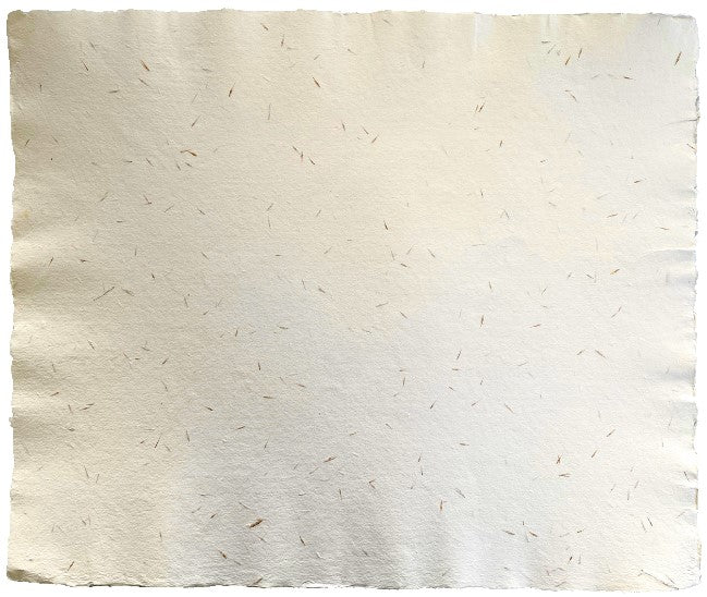 Papel Hecho Mano Nattura®/La Ceiba® [Hoja] - Image 40