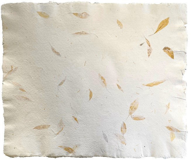 Papel Hecho Mano Nattura®/La Ceiba® [Hoja] - Image 41