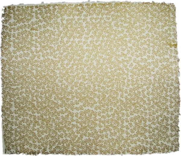 Papel Hecho Mano Nattura®/La Ceiba® [Hoja] - Image 45