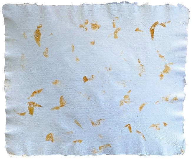 Papel Hecho Mano Nattura®/La Ceiba® [Hoja] - Image 5