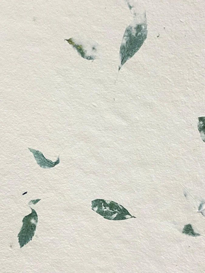 Papel Hecho Mano Nattura®/La Ceiba® [Hoja] - Image 60