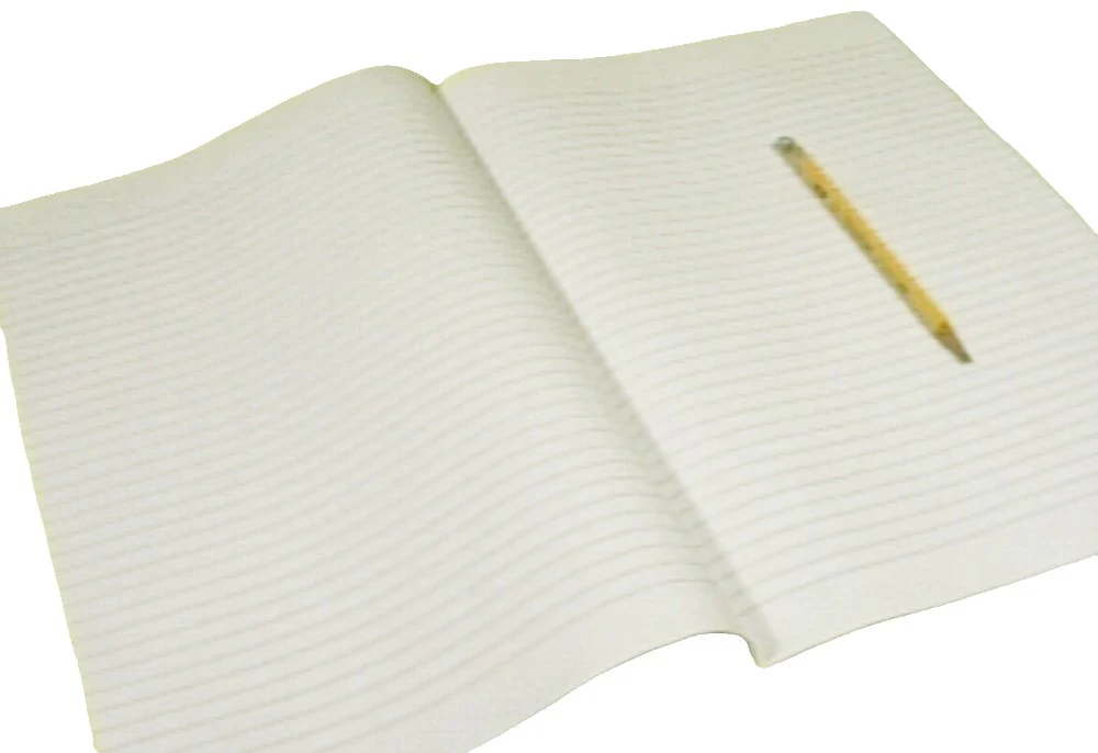 Papel Ministro Rayado Azul Oficio LyC® [Hoja]