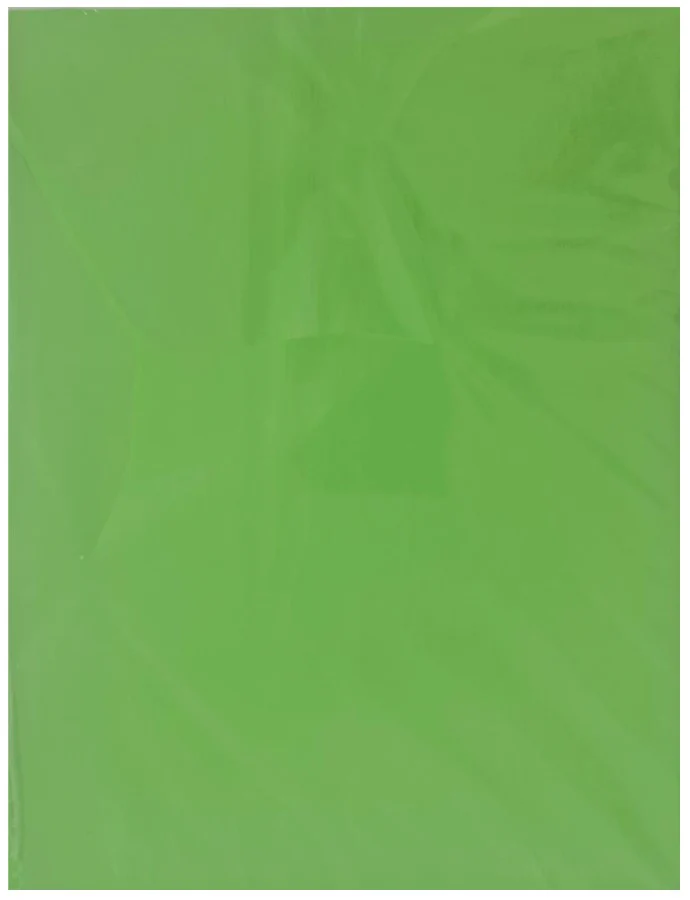 Papel Opalina Linopastel paquete c/50 120g Pistache Carta Satinado® - Image 2