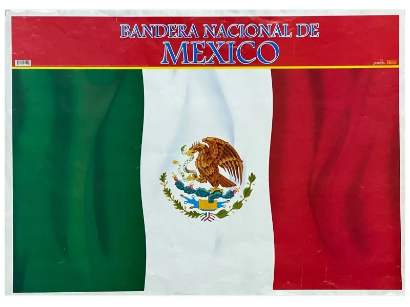 Póster Didáctico 48×69cm 50×70cm 70×50cm granmark® [Pieza] - Image 10