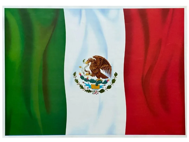Póster Didáctico 48×69cm 50×70cm 70×50cm granmark® [Pieza] - Image 11