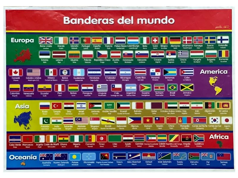 Póster Didáctico 48×69cm 50×70cm 70×50cm granmark® [Pieza] - Image 12