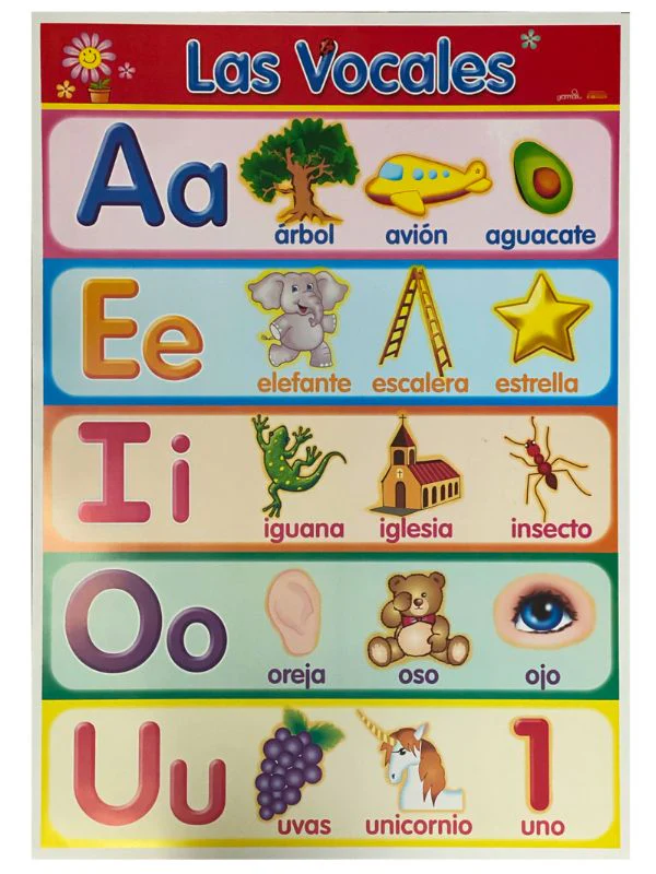 Póster Didáctico 48×69cm 50×70cm 70×50cm granmark® [Pieza] - Image 130