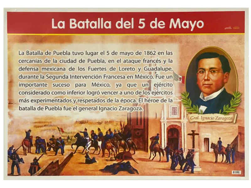 Póster Didáctico 48×69cm 50×70cm 70×50cm granmark® [Pieza] - Image 14