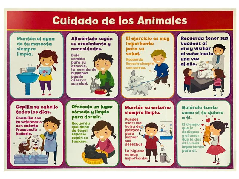Póster Didáctico 48×69cm 50×70cm 70×50cm granmark® [Pieza] - Image 21