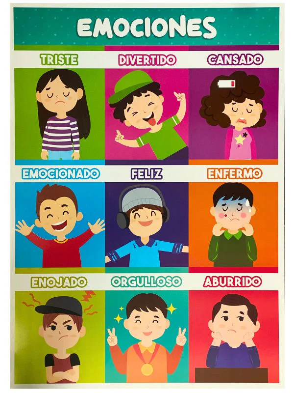 Póster Didáctico 48×69cm 50×70cm 70×50cm granmark® [Pieza] - Image 34