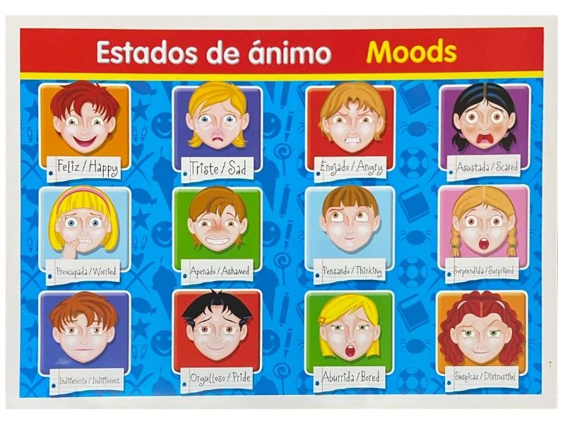 Póster Didáctico 48×69cm 50×70cm 70×50cm granmark® [Pieza] - Image 38