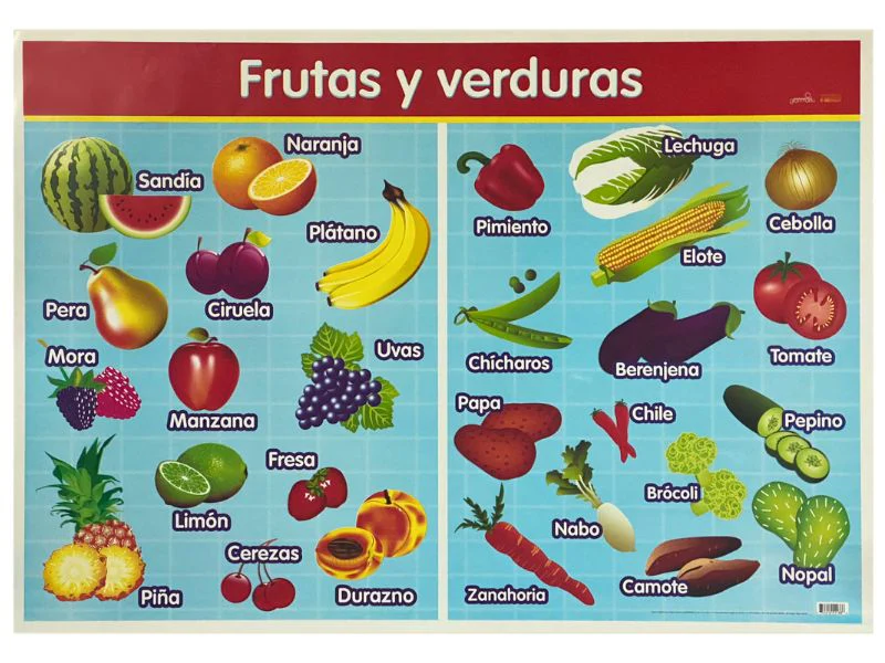 Póster Didáctico 48×69cm 50×70cm 70×50cm granmark® [Pieza] - Image 46