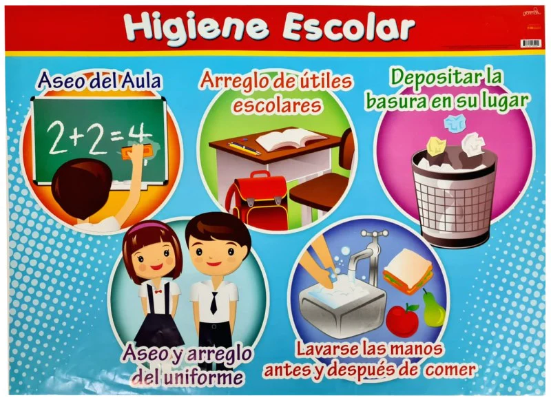 Póster Didáctico 48×69cm 50×70cm 70×50cm granmark® [Pieza] - Image 48