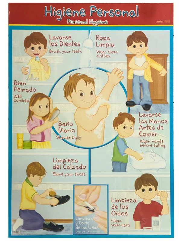 Póster Didáctico 48×69cm 50×70cm 70×50cm granmark® [Pieza] - Image 50