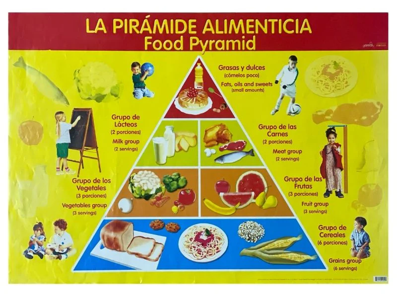 Póster Didáctico 48×69cm 50×70cm 70×50cm granmark® [Pieza] - Image 58