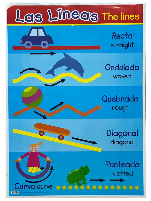 Póster Didáctico 48×69cm 50×70cm 70×50cm granmark® [Pieza] - Image 59
