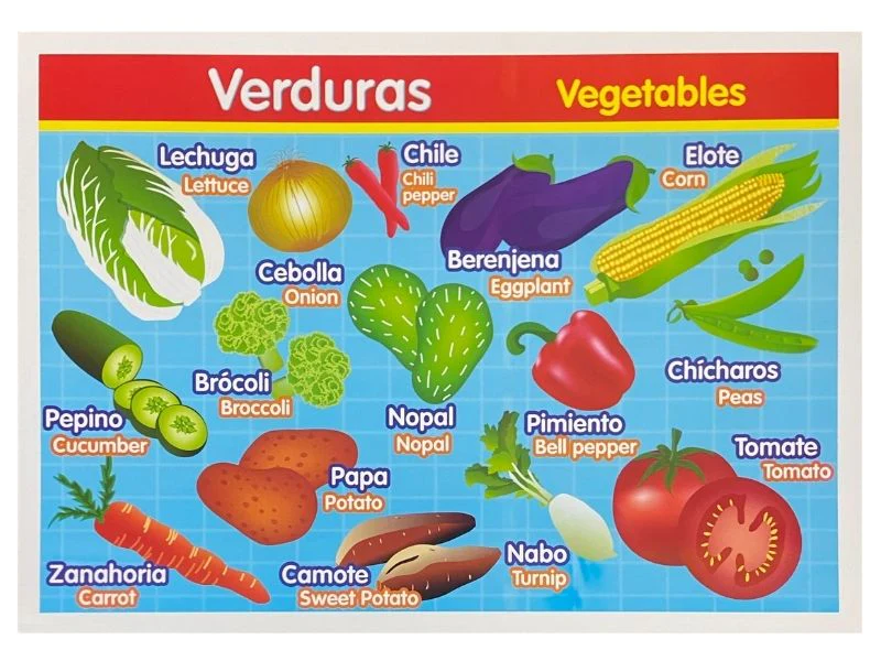 Póster Didáctico 48×69cm 50×70cm 70×50cm granmark® [Pieza] - Image 69