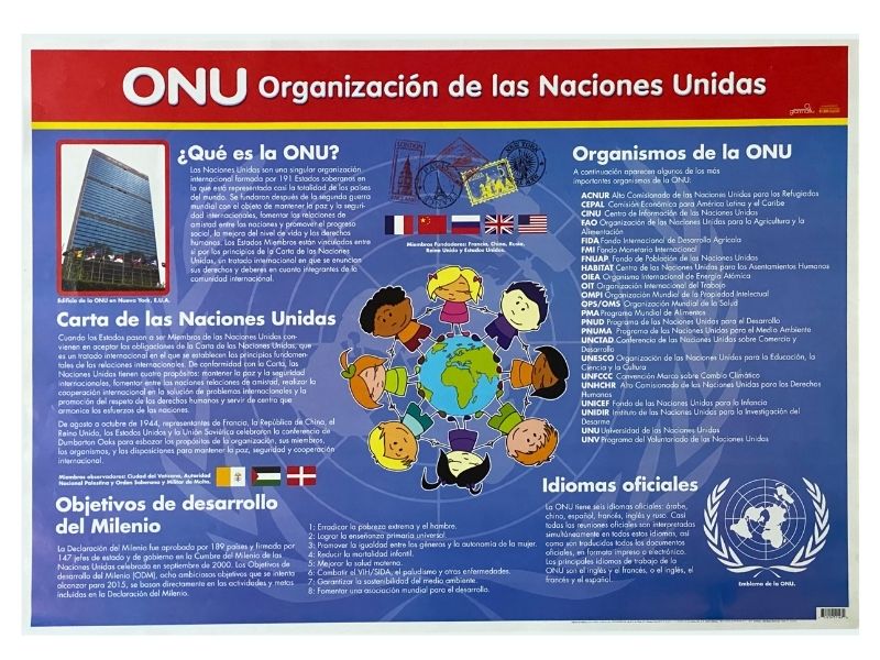 Póster Didáctico 48×69cm 50×70cm 70×50cm granmark® [Pieza] - Image 89