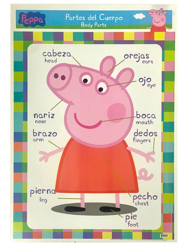 Póster Didáctico 48×69cm 50×70cm 70×50cm granmark® [Pieza] - Image 99