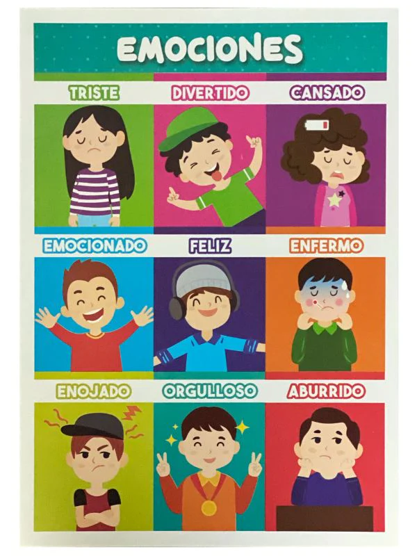 Póster Didáctico Mini 25×35cm 35×25cm granmark® [Pieza] - Image 19