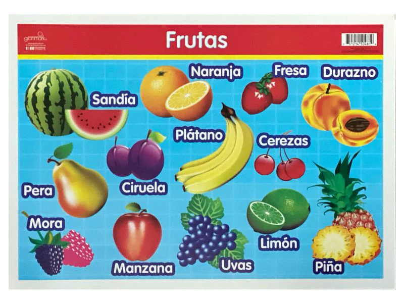 Póster Didáctico Mini 25×35cm 35×25cm granmark® [Pieza] - Image 25