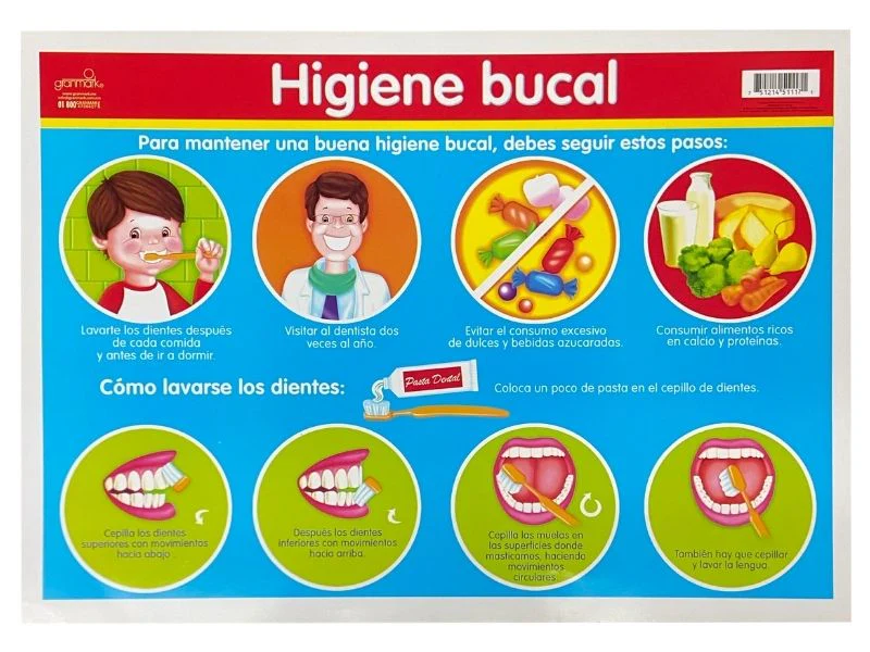 Póster Didáctico Mini 25×35cm 35×25cm granmark® [Pieza] - Image 26