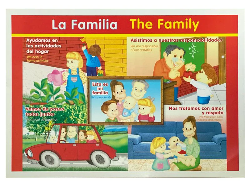 Póster Didáctico Mini 25×35cm 35×25cm granmark® [Pieza] - Image 33