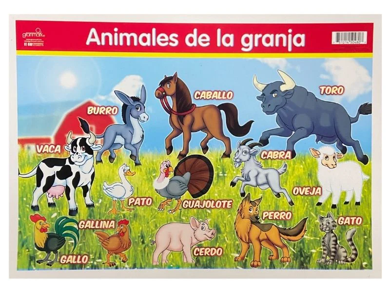 Póster Didáctico Mini 25×35cm 35×25cm granmark® [Pieza] - Image 5