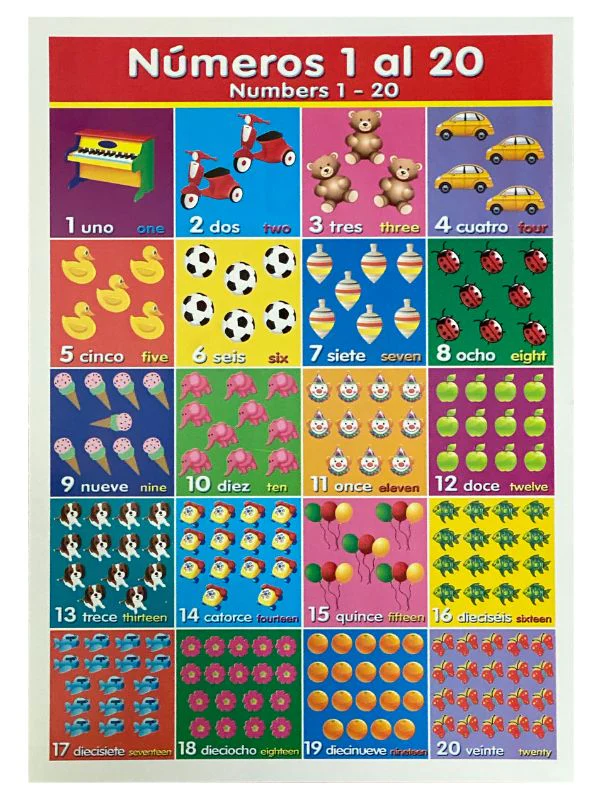 Póster Didáctico Mini 25×35cm 35×25cm granmark® [Pieza] - Image 55
