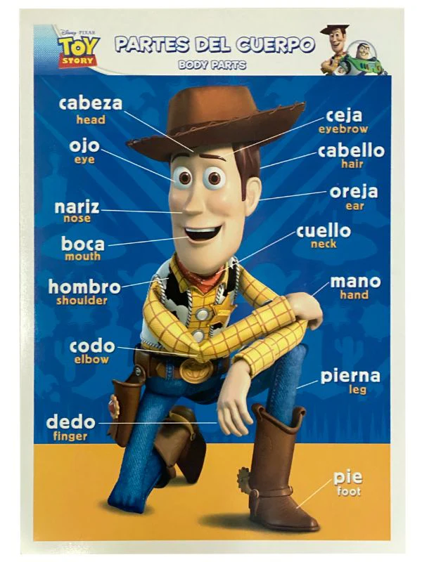 Póster Didáctico Mini 25×35cm 35×25cm granmark® [Pieza] - Image 61